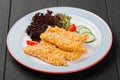 Fried salmon fillet with vegetables salad on black plate on dark background Royalty Free Stock Photo