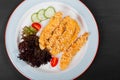 Fried salmon fillet with vegetables salad on black plate on dark background. Royalty Free Stock Photo