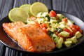 Fried salmon steak with avocado tomato salsa closeup. horizontal Royalty Free Stock Photo