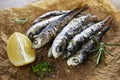 Fried Sardines meal