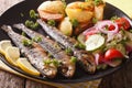 Fried sardines with potatoes and fresh vegetable salad close-up. Royalty Free Stock Photo