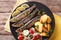 Fried sardines with potatoes and fresh vegetable salad close-up. Horizontal top view Royalty Free Stock Photo