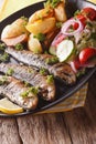 Fried sardines with potatoes and fresh vegetable salad close-up. Vertical Royalty Free Stock Photo