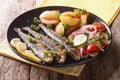 Fried sardines with roasted potatoes and fresh salad closeup. ho Royalty Free Stock Photo