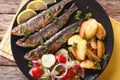 Fried sardines with roasted potatoes and fresh salad closeup. ho Royalty Free Stock Photo