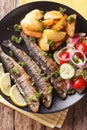 Fried sardines with roasted potatoes and fresh salad closeup. vertical top view Royalty Free Stock Photo