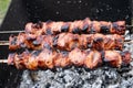 The fried shish kebab cooking on a metal spit. Fried meat is made in a barbecue. On charcoal. Street food Royalty Free Stock Photo