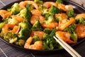 Fried shrimp with broccoli and garlic close-up. horizontal Royalty Free Stock Photo