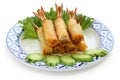 Fried shrimp spring rolls, thai cuisine Royalty Free Stock Photo