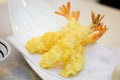 Fried shrimp or Tempura Shrimps in white plate Royalty Free Stock Photo