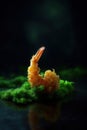 fried shrimp on wasabi paste on a dark background