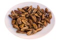 Fried silk worm is the food of the natives Royalty Free Stock Photo