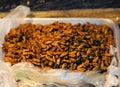 Fried silk worms at a Thai market Royalty Free Stock Photo