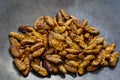 Fried silk worms, weird food. Insects eating.