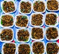 Fried silkworm pupa in package