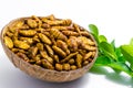 Fried silkworm`s pupa Royalty Free Stock Photo