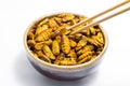 Fried silkworm`s pupa Royalty Free Stock Photo