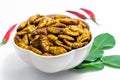 Fried silkworm`s pupa Royalty Free Stock Photo