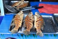 Fried silver perch fish