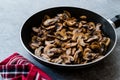 Fried and Sliced Cultivated Champignons Mushrooms in Pan Royalty Free Stock Photo