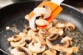 Fried sliced mushrooms