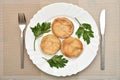 Fried slices of zucchini with fresh parsley on the plate Royalty Free Stock Photo