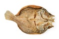Fried snapper Royalty Free Stock Photo