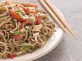 Fried Soba Noodles with Pork and Cabbage Royalty Free Stock Photo