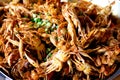 Fried Soft Shell Crab