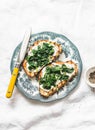 Fried spinach and labne sandwiches - delicious healthy breakfast or snack on a light background