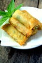 Fried Spring Roll Royalty Free Stock Photo