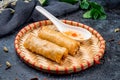 Fried Spring Roll , Vietnamese Food Royalty Free Stock Photo