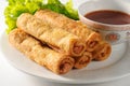 Fried Spring Rolls