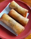 Fried spring rolls. food on red plate. Deep fried spring roll