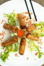 Fried spring rolls for lunch with vegetables Royalty Free Stock Photo