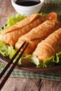 Fried spring rolls on a plate and chopsticks close-up. vertical Royalty Free Stock Photo