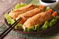Fried spring rolls on a plate and chopsticks closeup. horizontal Royalty Free Stock Photo