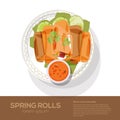 Fried spring rolls on a plate - vector