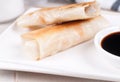 Fried spring rolls with sauce Royalty Free Stock Photo