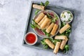 Fried spring rolls with sauce Royalty Free Stock Photo