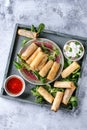 Fried spring rolls with sauce Royalty Free Stock Photo