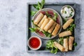 Fried spring rolls with sauce Royalty Free Stock Photo