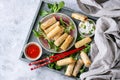 Fried spring rolls with sauce Royalty Free Stock Photo