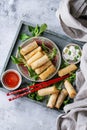 Fried spring rolls with sauce Royalty Free Stock Photo