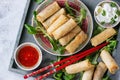 Fried spring rolls with sauce Royalty Free Stock Photo