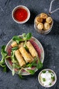 Fried spring rolls with sauce Royalty Free Stock Photo