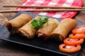 Fried spring rolls served in a black square plate with sliced tomatoes on a brown wooden table Royalty Free Stock Photo