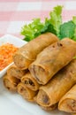 Fried spring rolls