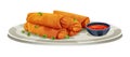 Fried spring rolls with sweet chili sauce illustration