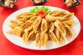 Fried Spring rolls on white plate Royalty Free Stock Photo